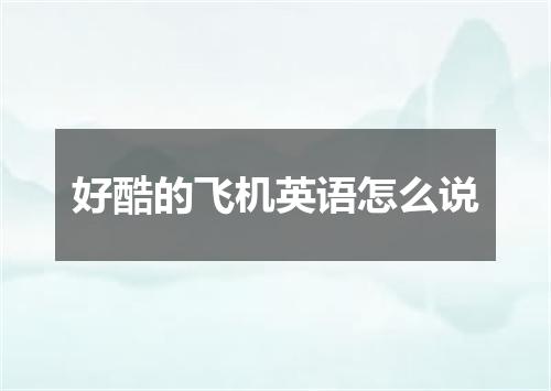 好酷的飞机英语怎么说