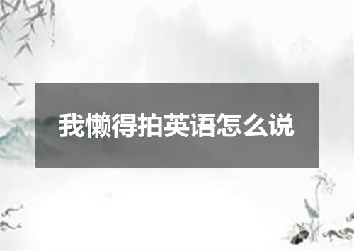 我懒得拍英语怎么说