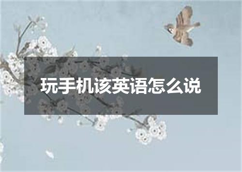 玩手机该英语怎么说