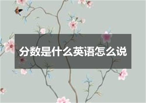 分数是什么英语怎么说