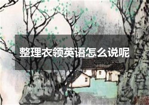 整理衣领英语怎么说呢