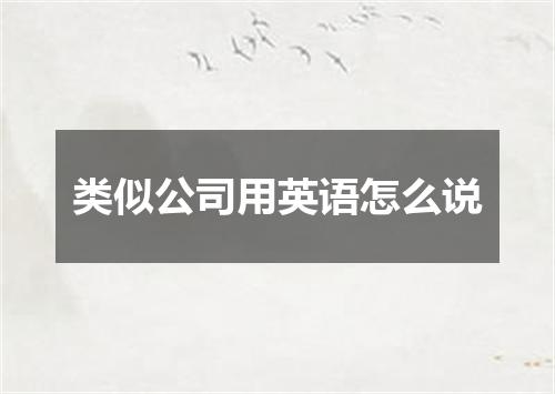 类似公司用英语怎么说