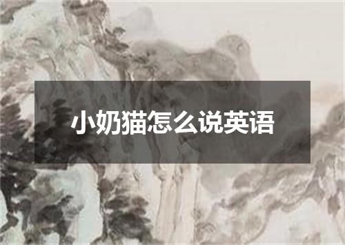 小奶猫怎么说英语