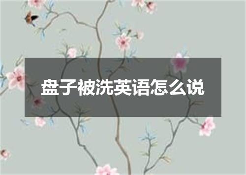 盘子被洗英语怎么说