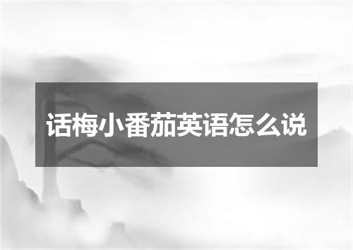 话梅小番茄英语怎么说