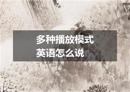 多种播放模式英语怎么说