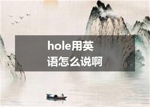 hole用英语怎么说啊