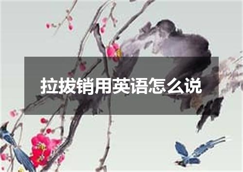 拉拔销用英语怎么说