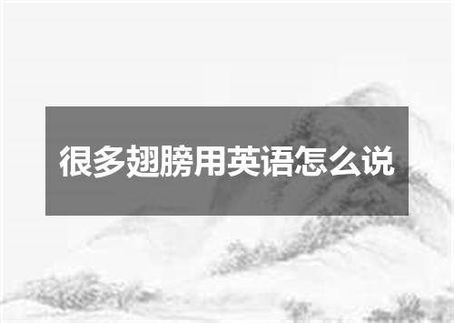 很多翅膀用英语怎么说