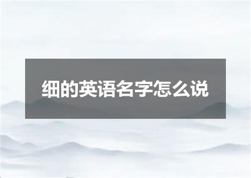细的英语名字怎么说
