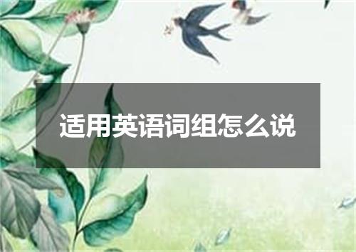 适用英语词组怎么说