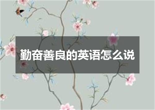 勤奋善良的英语怎么说