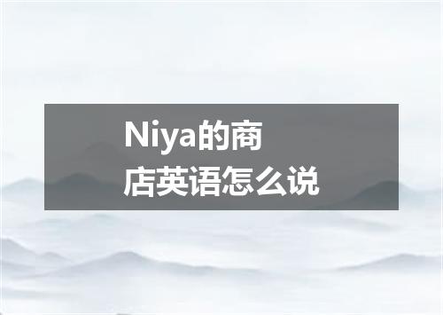 Niya的商店英语怎么说