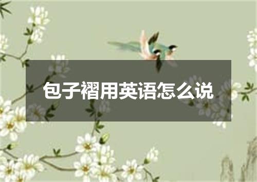 包子褶用英语怎么说