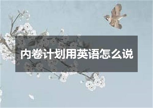 内卷计划用英语怎么说