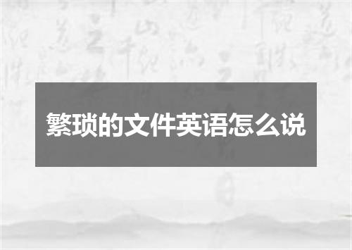 繁琐的文件英语怎么说