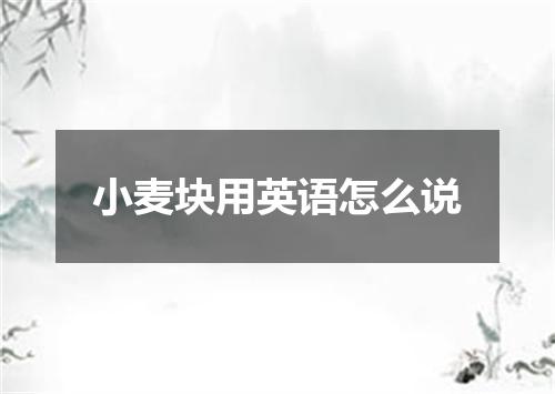 小麦块用英语怎么说