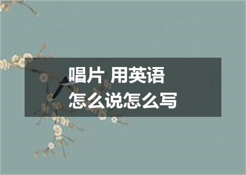 唱片 用英语怎么说怎么写