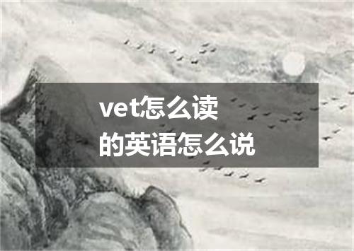 vet怎么读的英语怎么说