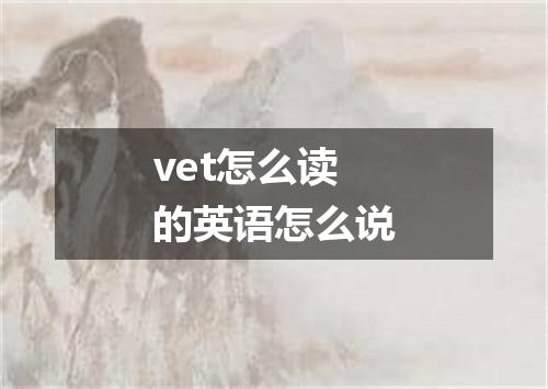vet怎么读的英语怎么说