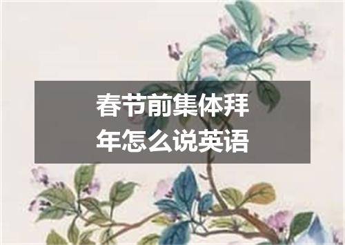 春节前集体拜年怎么说英语