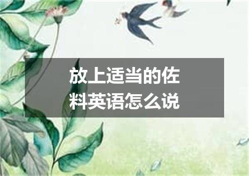 放上适当的佐料英语怎么说