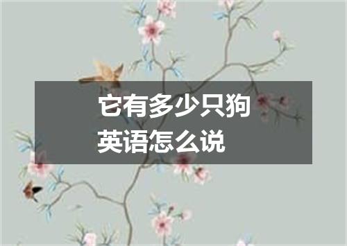 它有多少只狗英语怎么说