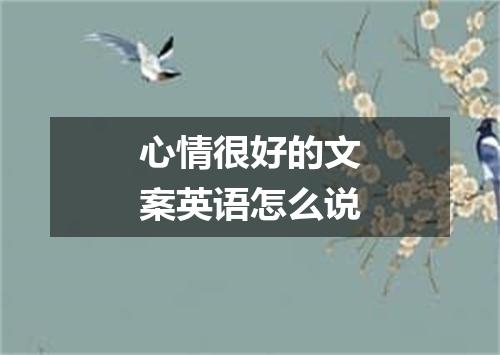 心情很好的文案英语怎么说