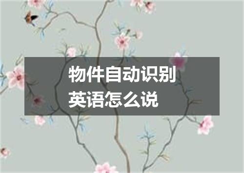 物件自动识别英语怎么说