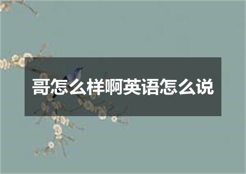 哥怎么样啊英语怎么说