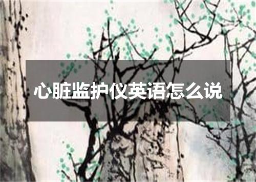 心脏监护仪英语怎么说