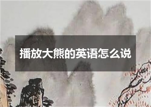 播放大熊的英语怎么说