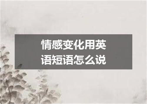 情感变化用英语短语怎么说