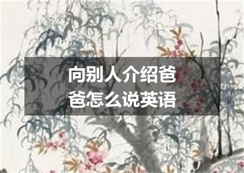 向别人介绍爸爸怎么说英语
