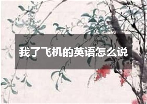 我了飞机的英语怎么说