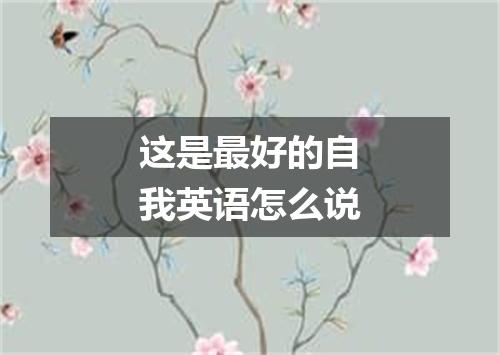 这是最好的自我英语怎么说