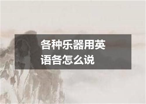 各种乐器用英语各怎么说