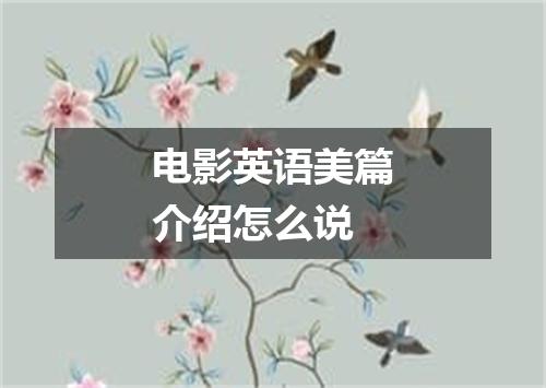 电影英语美篇介绍怎么说