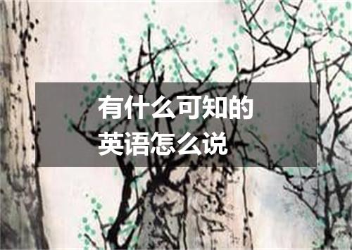 有什么可知的英语怎么说