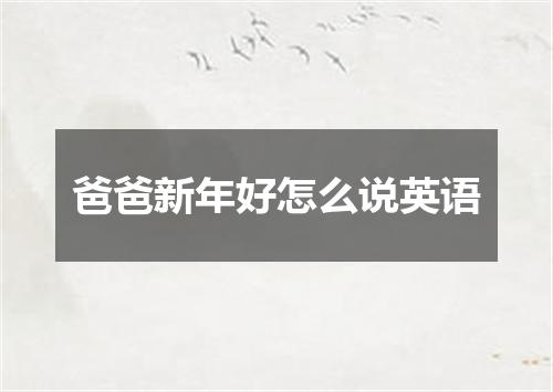 爸爸新年好怎么说英语
