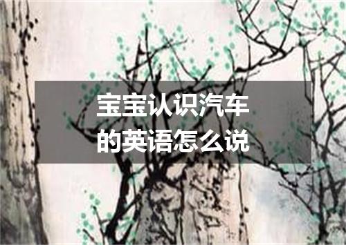 宝宝认识汽车的英语怎么说