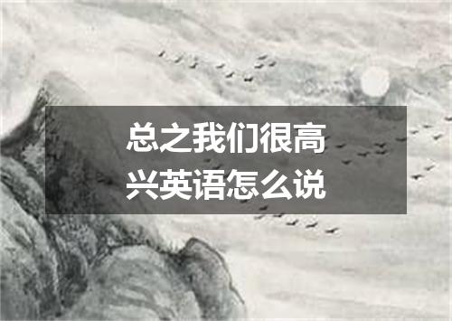 总之我们很高兴英语怎么说