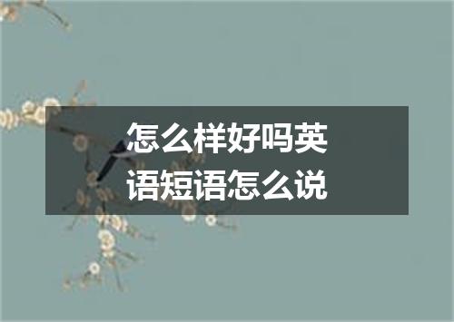 怎么样好吗英语短语怎么说