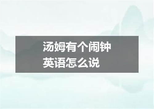 汤姆有个闹钟英语怎么说