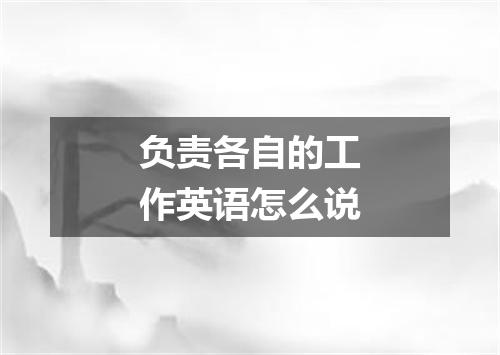 负责各自的工作英语怎么说