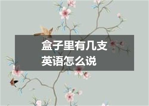 盒子里有几支英语怎么说