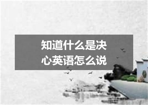 知道什么是决心英语怎么说