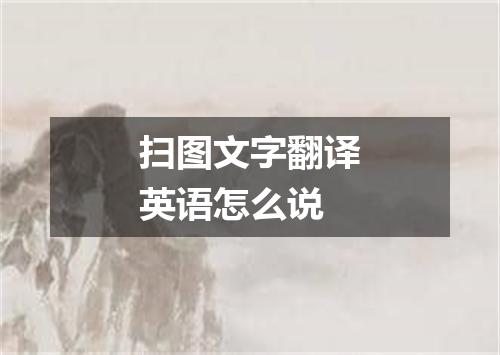 扫图文字翻译英语怎么说