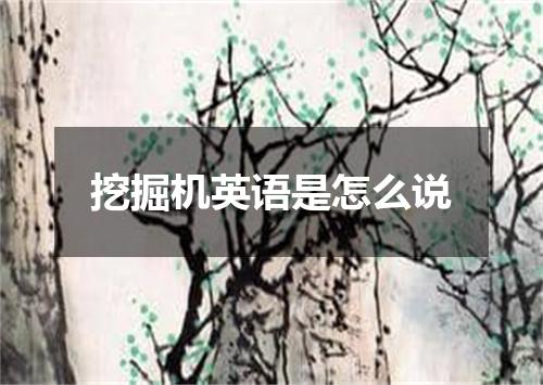 挖掘机英语是怎么说