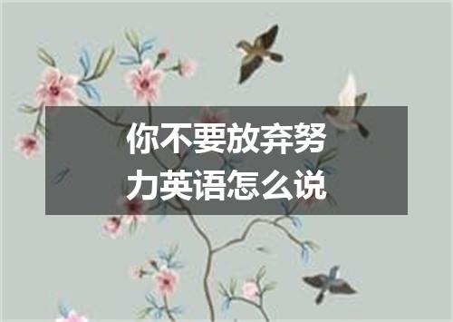 你不要放弃努力英语怎么说